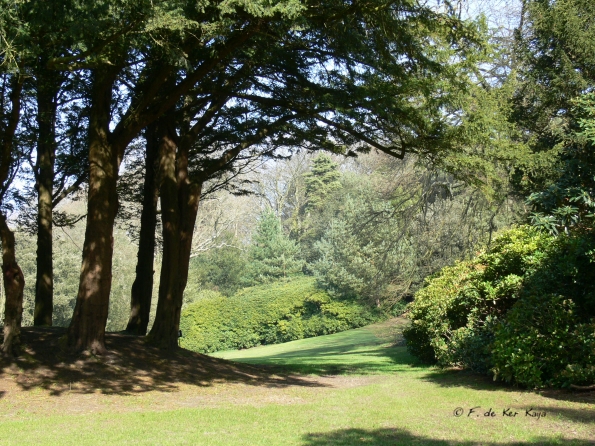 Bois des Moutiers (61) mars 2012